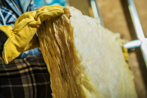 Best Energy-efficient Insulation  in Mount Plymouth, FL