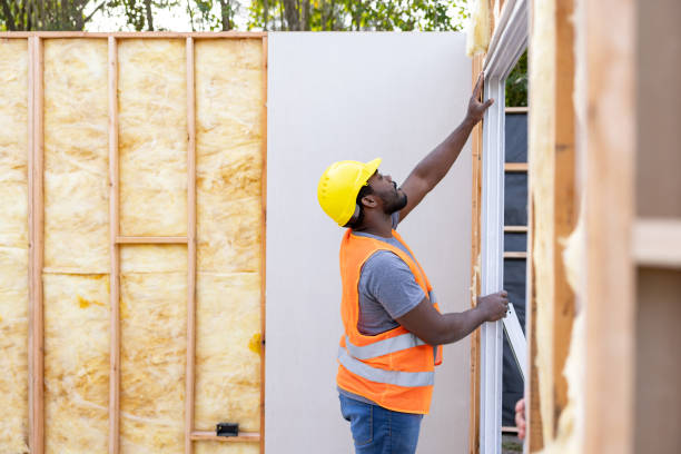 Best Insulation Replacement Services  in Mount Plymouth, FL