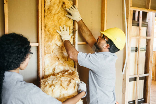 Best Insulation Removal Services  in Mount Plymouth, FL
