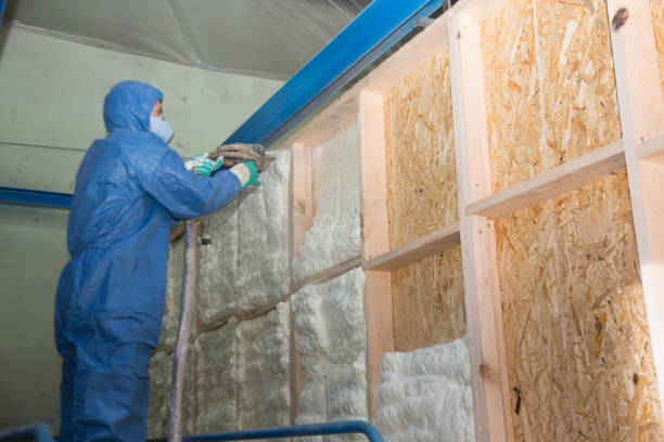 Range of Insulation Solutions in Mount Plymouth, FL