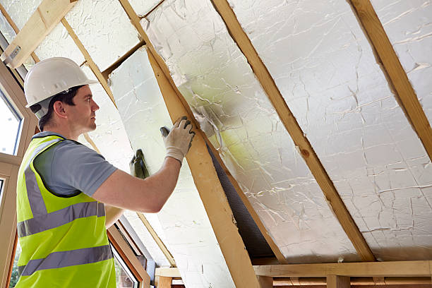 Best Crawl Space Insulation  in Mount Plymouth, FL